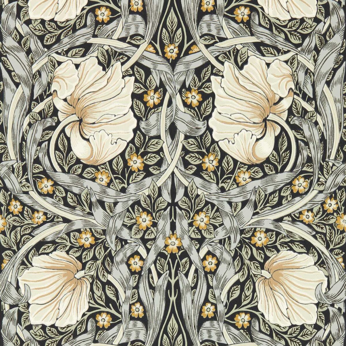 Pimpernel Wallpaper - Ink / Sage by black-grey botanical wallpaper from william morris & co