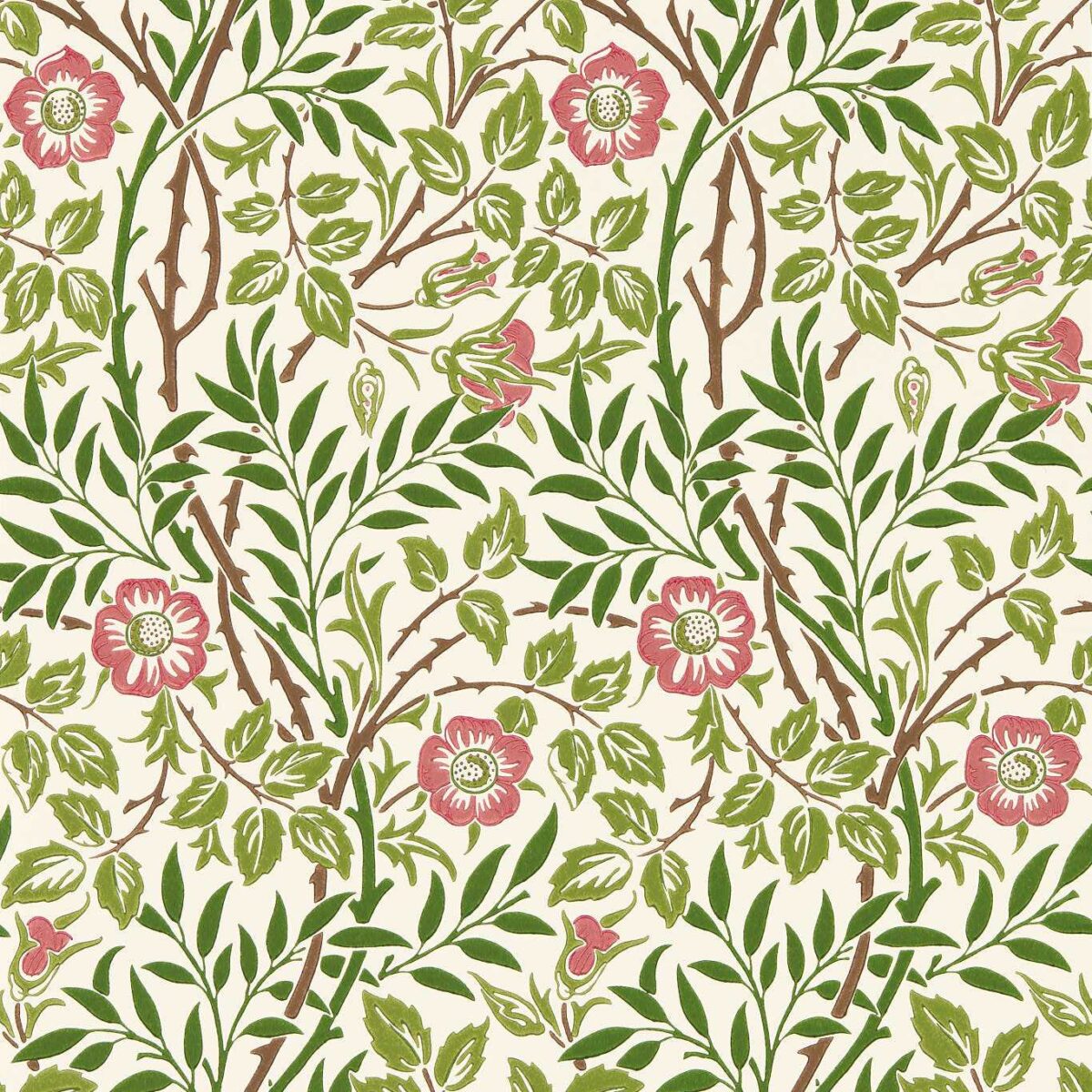 Sweet Briar Wallpaper - Boughs / Rose by green botanical wallpaper from william morris & co