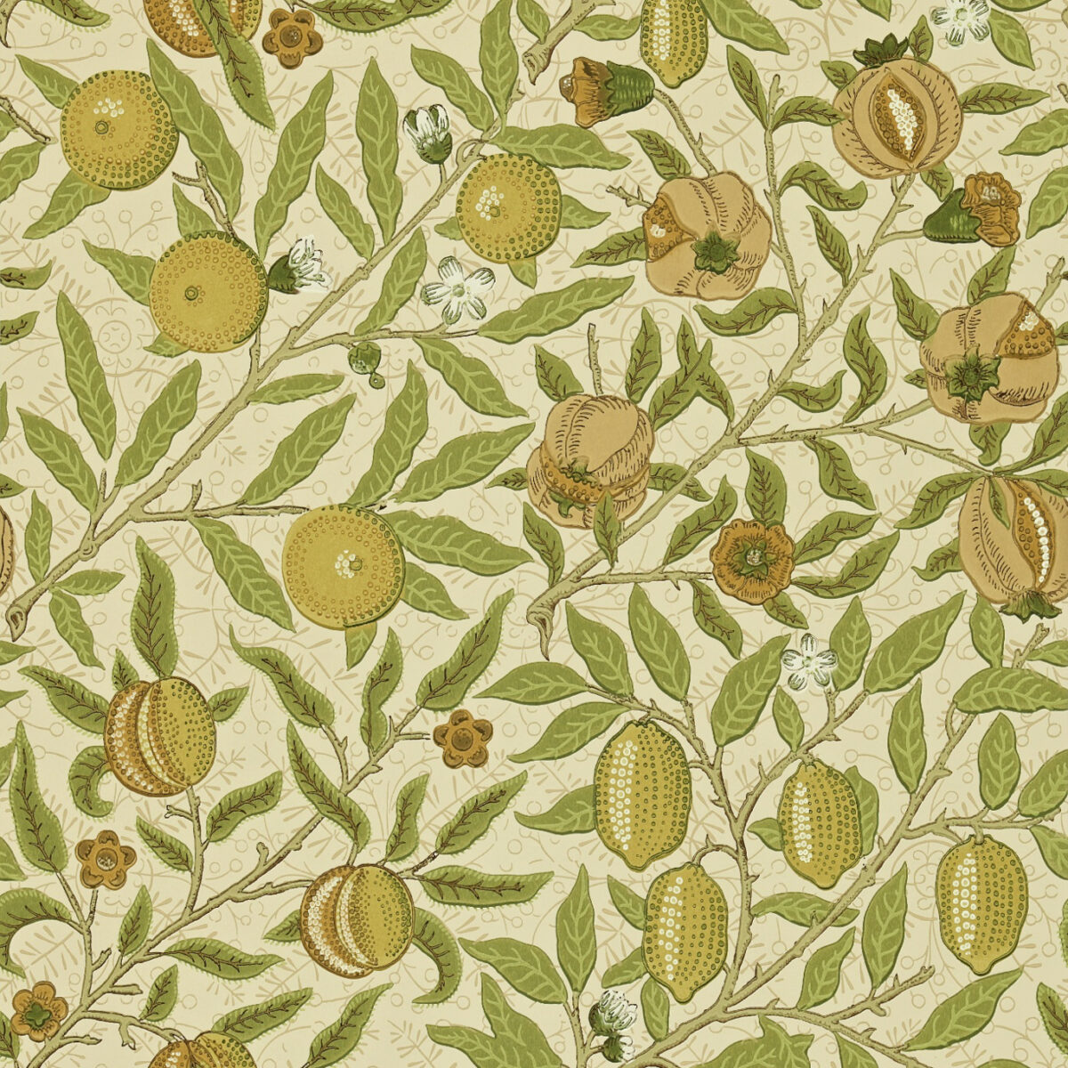 Fruit Wallpaper - Lime / Green / Tan by yellow botanical wallpaper from william morris & co