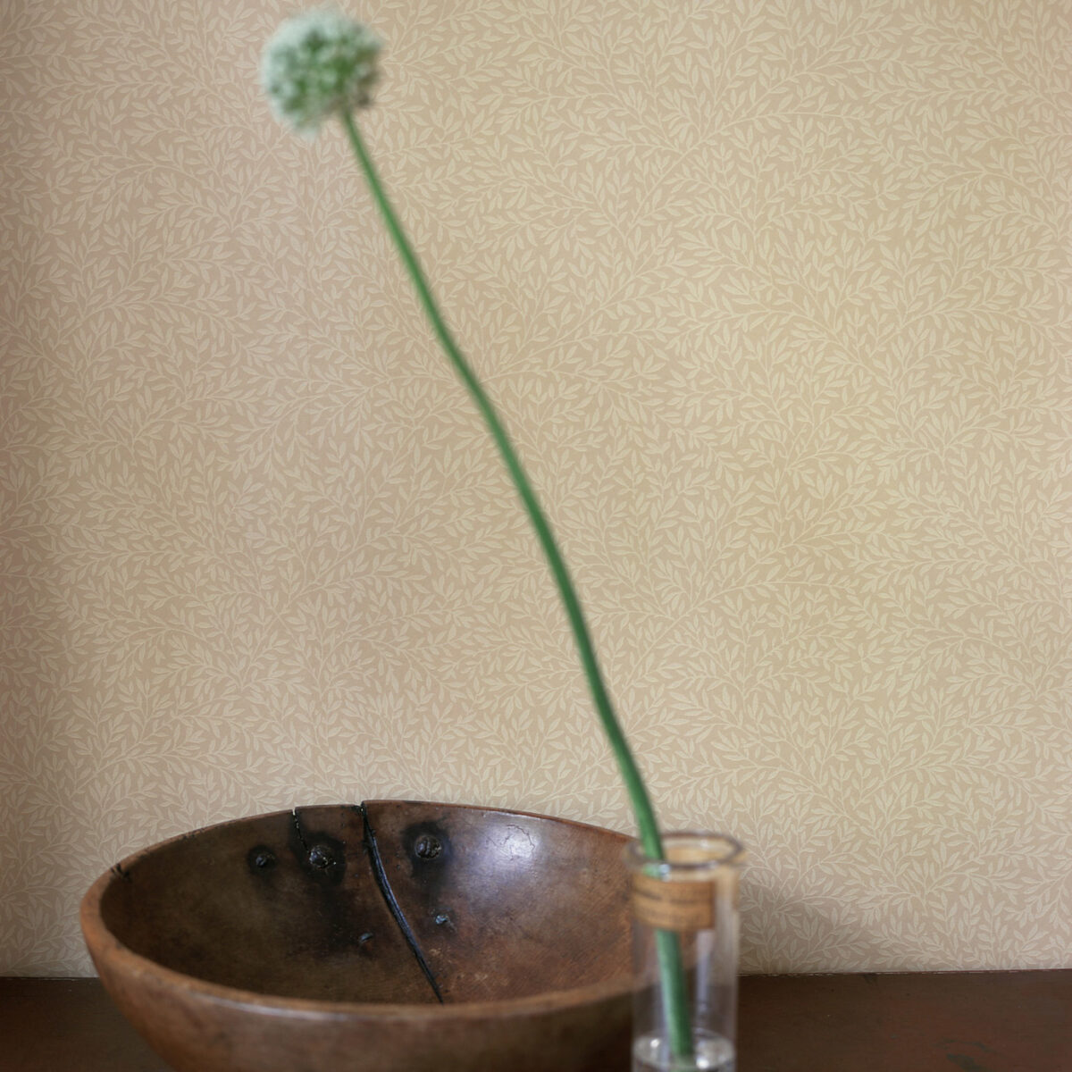 Standen Wallpaper - Canvas by Standen Wallpaper - Canvas from