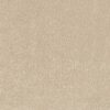 neutral misc velvet-chenille fabric from Zinc