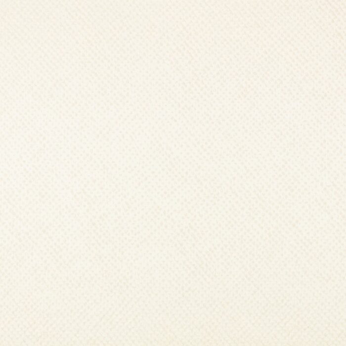 Roxy Fabric - Moonbeam swatch