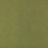 green plain jacquard fabric from Zinc