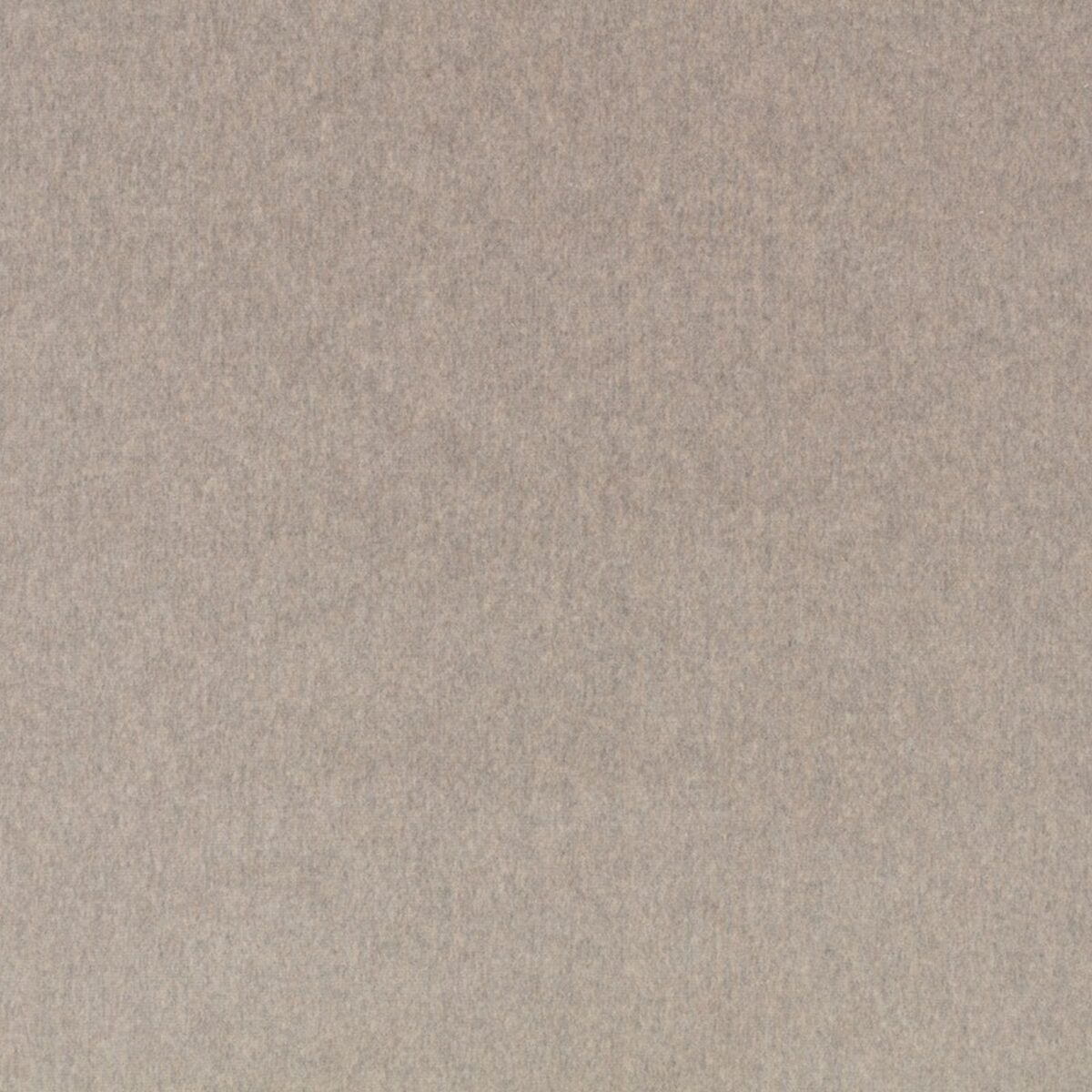 neutral plain velvet-chenille fabric from Zinc