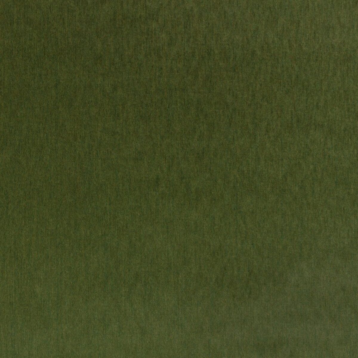 Lenny Fabric - Hunting by green plain velvet-chenille fabric from Zinc