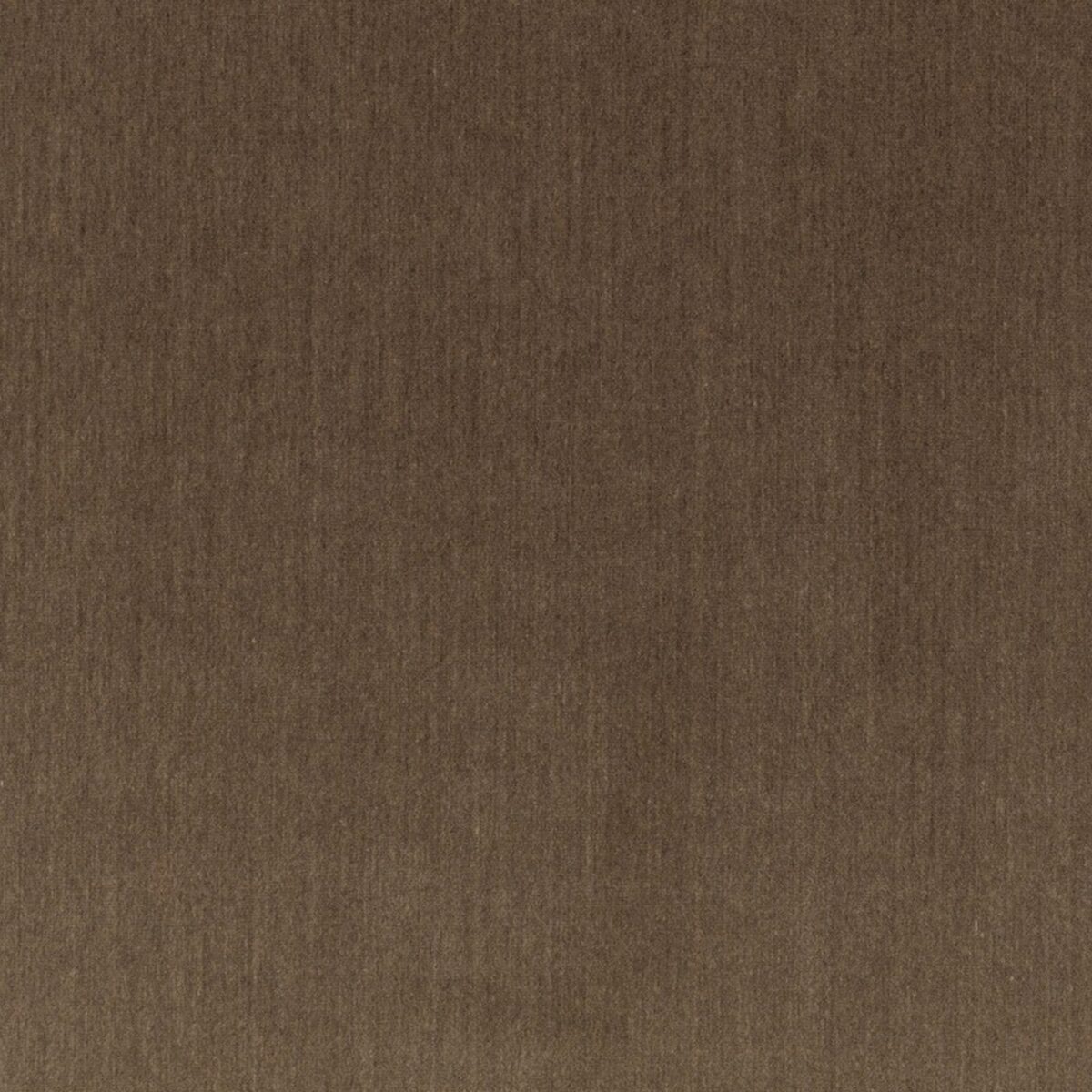 Lenny Fabric - Taupe by brown plain velvet-chenille fabric from Zinc