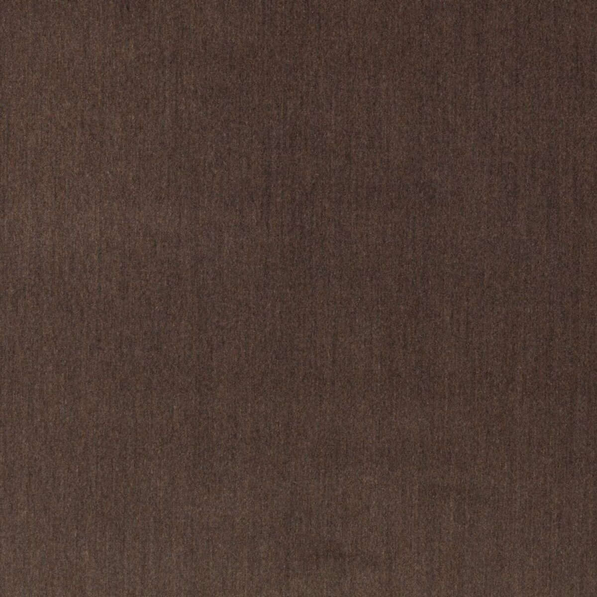 brown plain velvet-chenille fabric from Zinc