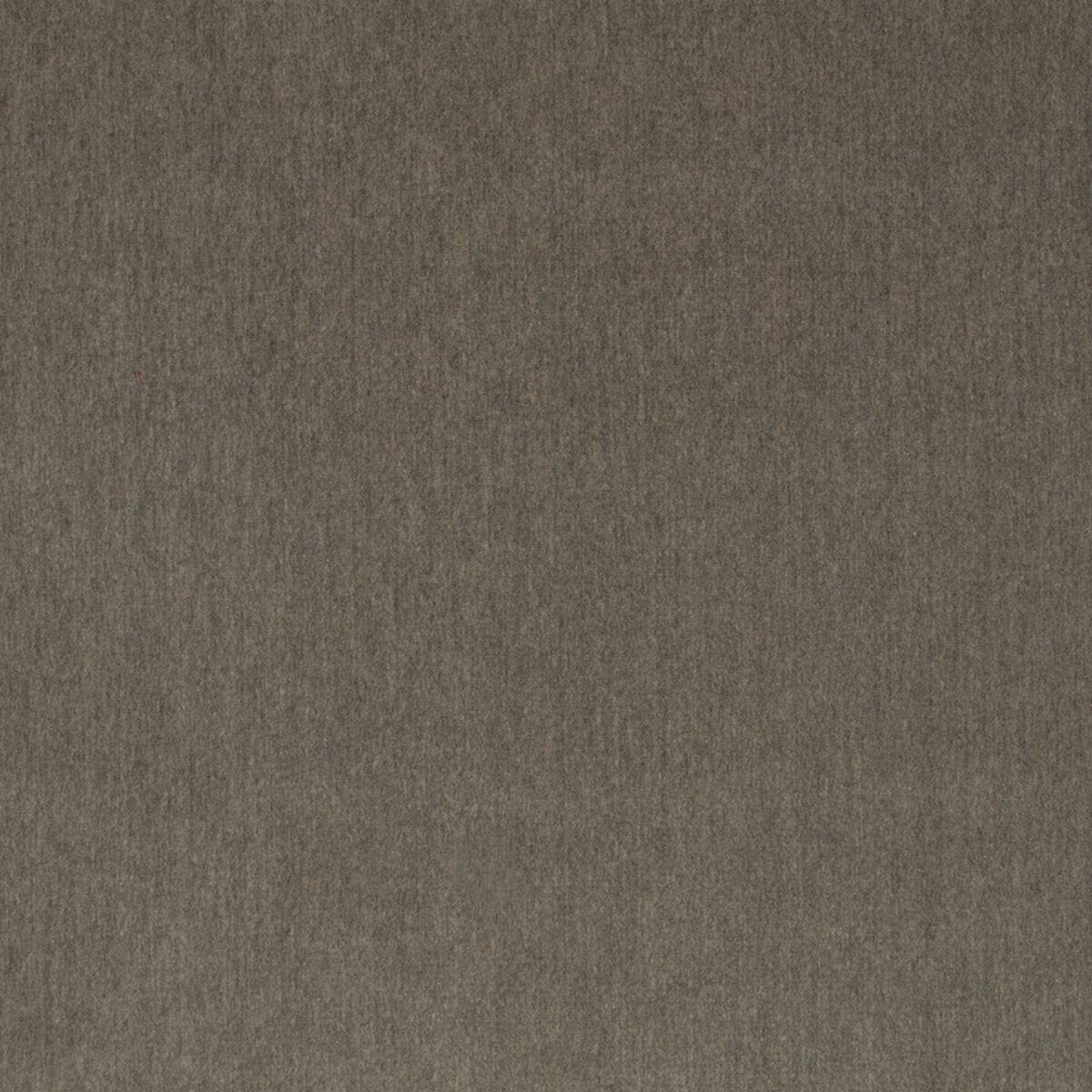 black-grey plain velvet-chenille fabric from Zinc