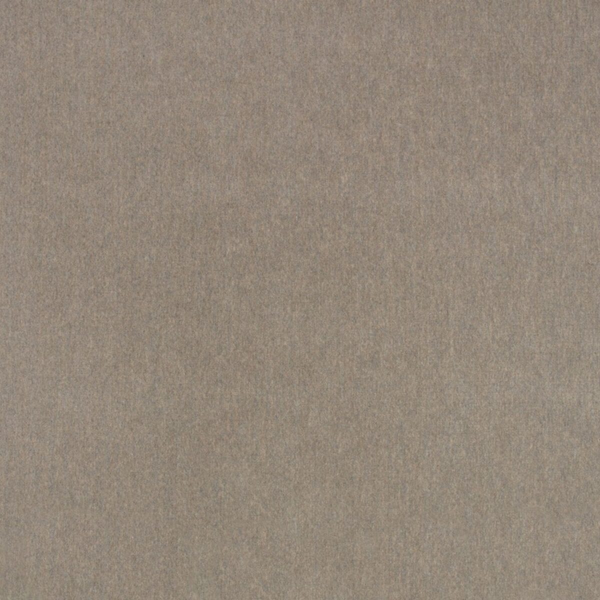 Lenny Fabric - Driftwood by black-grey plain velvet-chenille fabric from Zinc