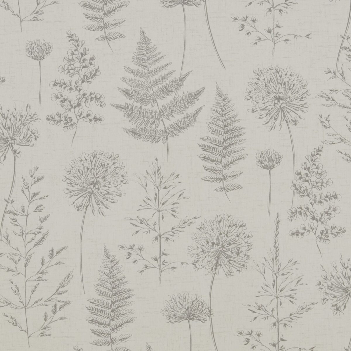 Chervil Fabric - Mist by black-grey botanical cotton fabric from iLiv