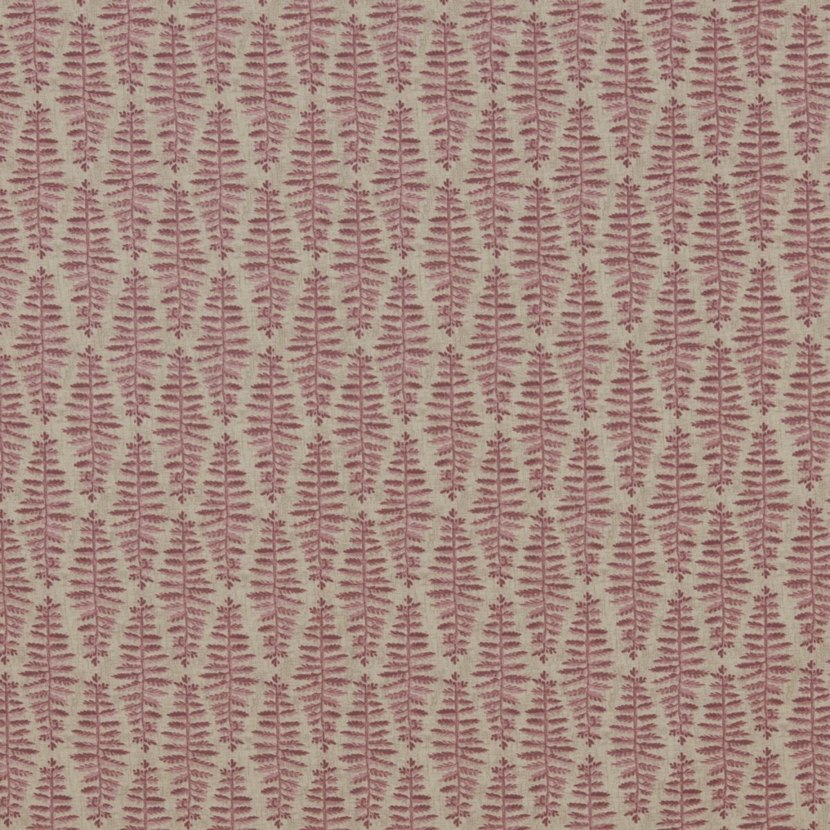 Fernia Fabric - Dusty Pink by pink botanical cotton fabric from iLiv