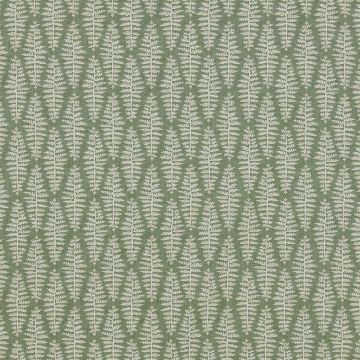 Fernia Fabric - Fern by green botanical cotton fabric from iLiv