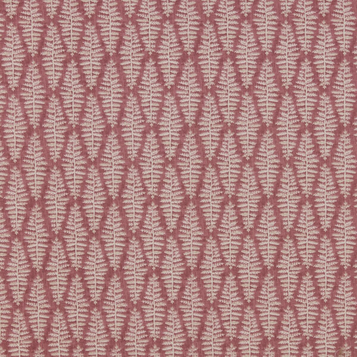 Fernia Fabric - Rosa by pink botanical cotton fabric from iLiv