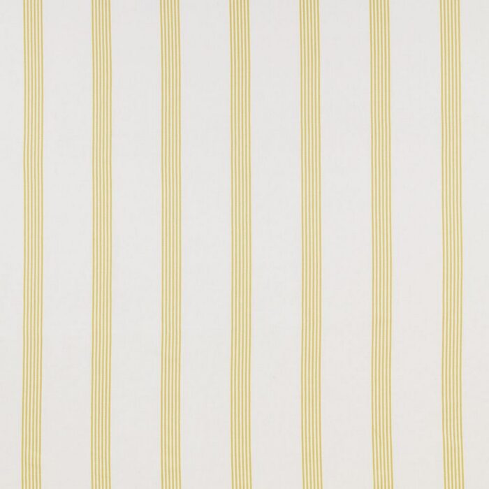 Newport Fabric - Citrus swatch
