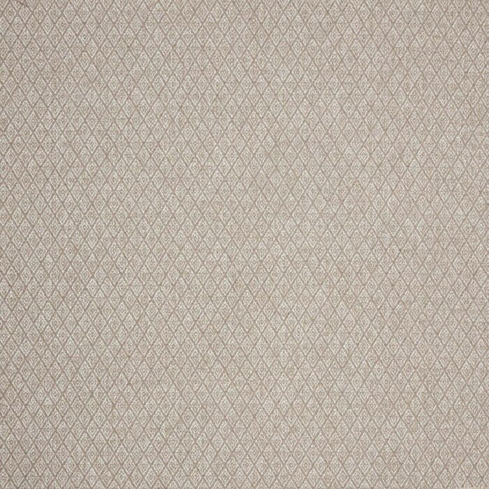 Hindi Fabric - Cashmere swatch