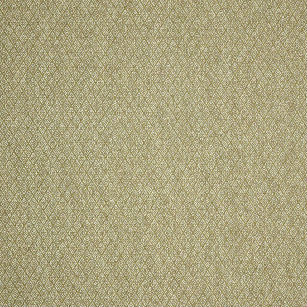 Hindi Fabric - Pistachio by green contemporary jacquard fabric from iLiv