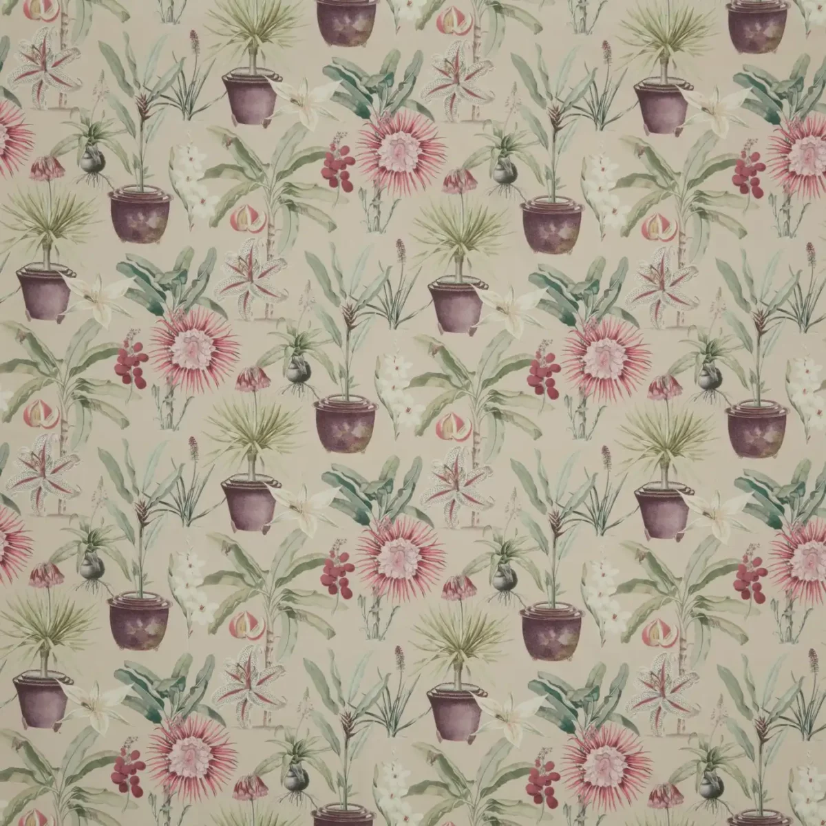 Atrium Fabric - Woodrose by multicolour botanical cotton fabric from iLiv