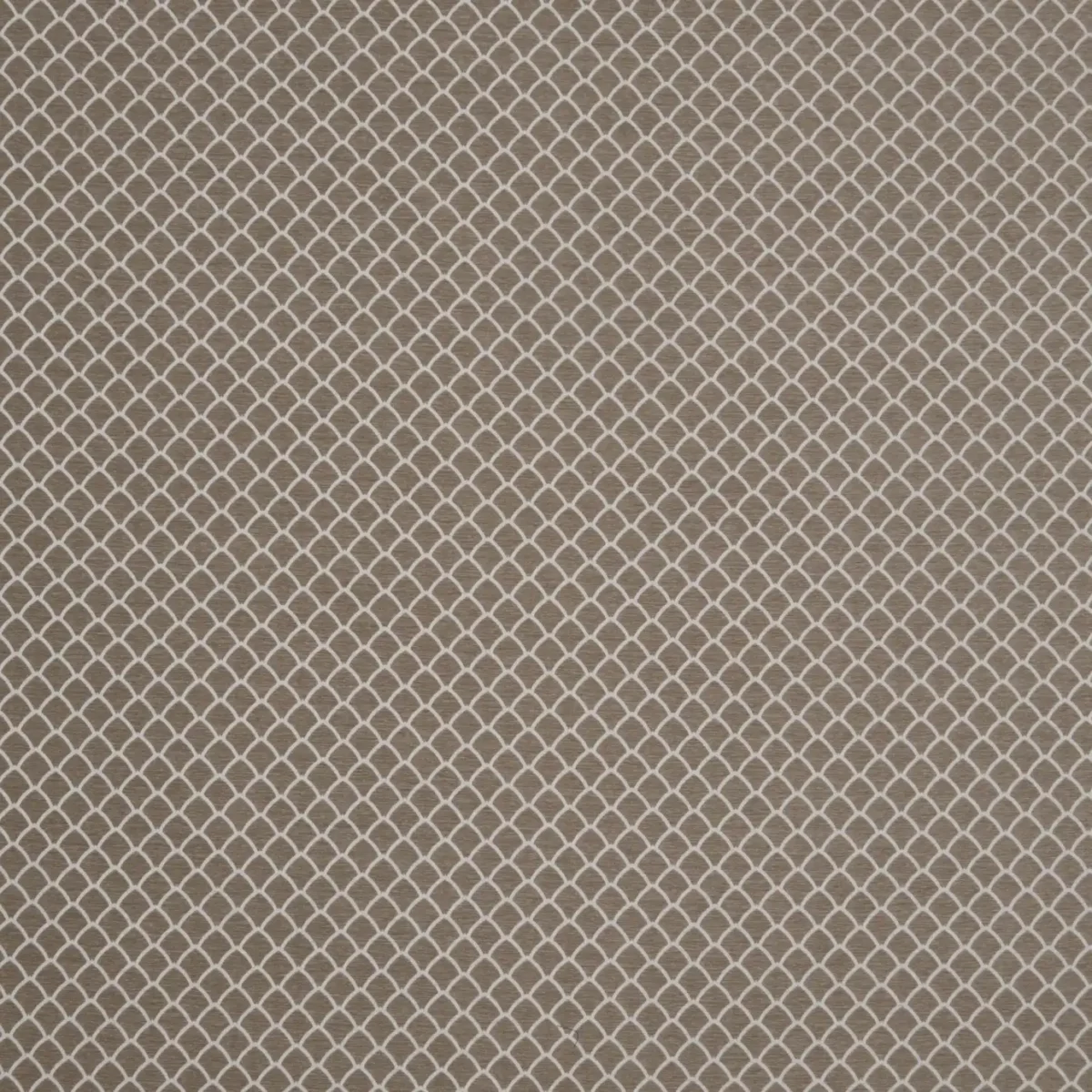 Eze Fabric - Putty by brown contemporary jacquard fabric from iLiv