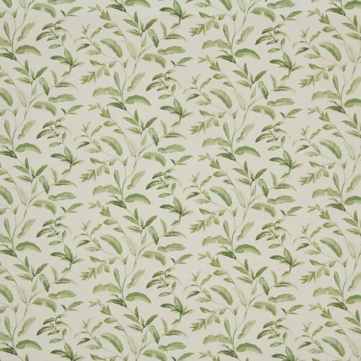 Oasis Fabric - Spruce by green botanical cotton fabric from iLiv