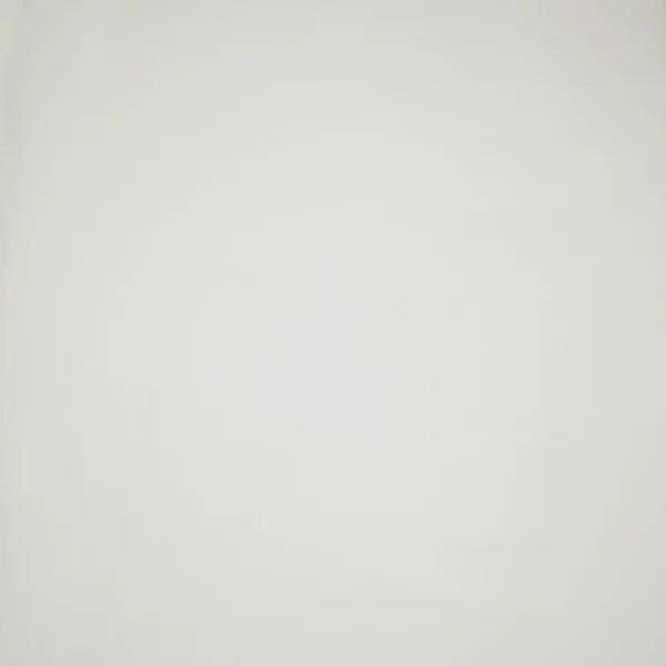 Pearl Fabric - Oyster by white plain voile-sheer fabric from iLiv