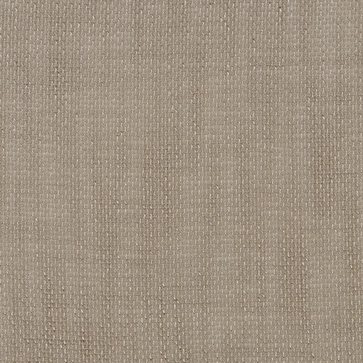Uni Fabric - Latte by neutral plain voile-sheer fabric from iLiv