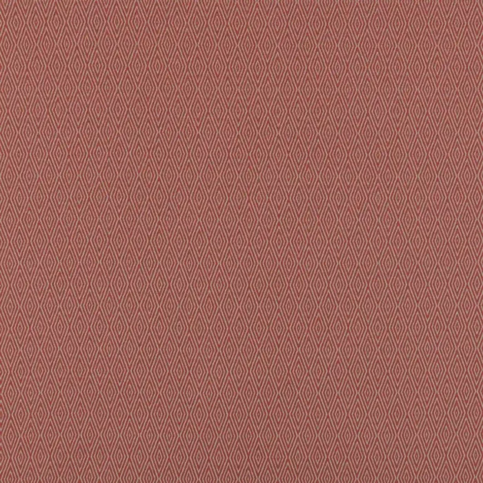Nias Fabric - Spice swatch