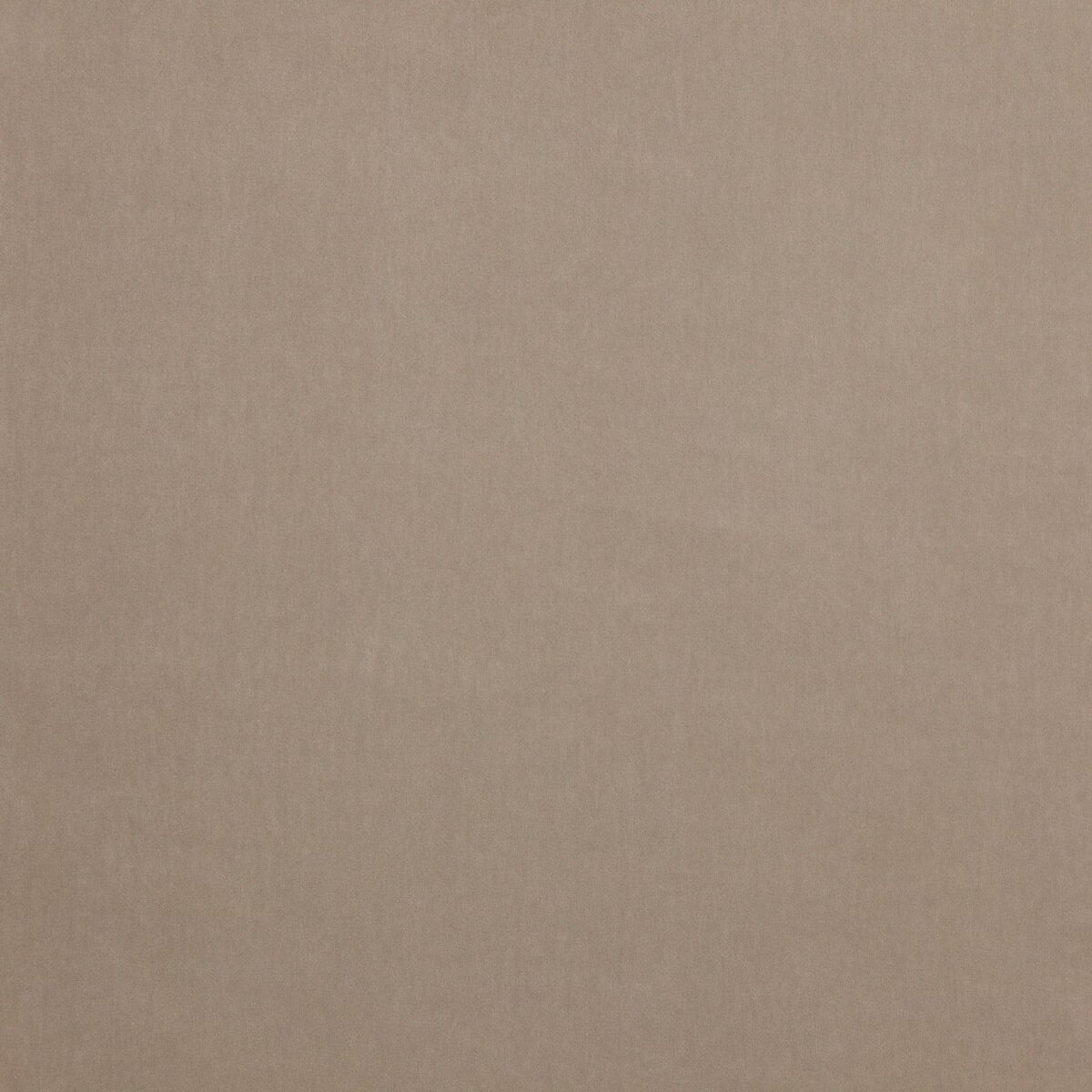 Emile Fabric - Silver by black-grey plain velvet-chenille fabric from Jane Churchill