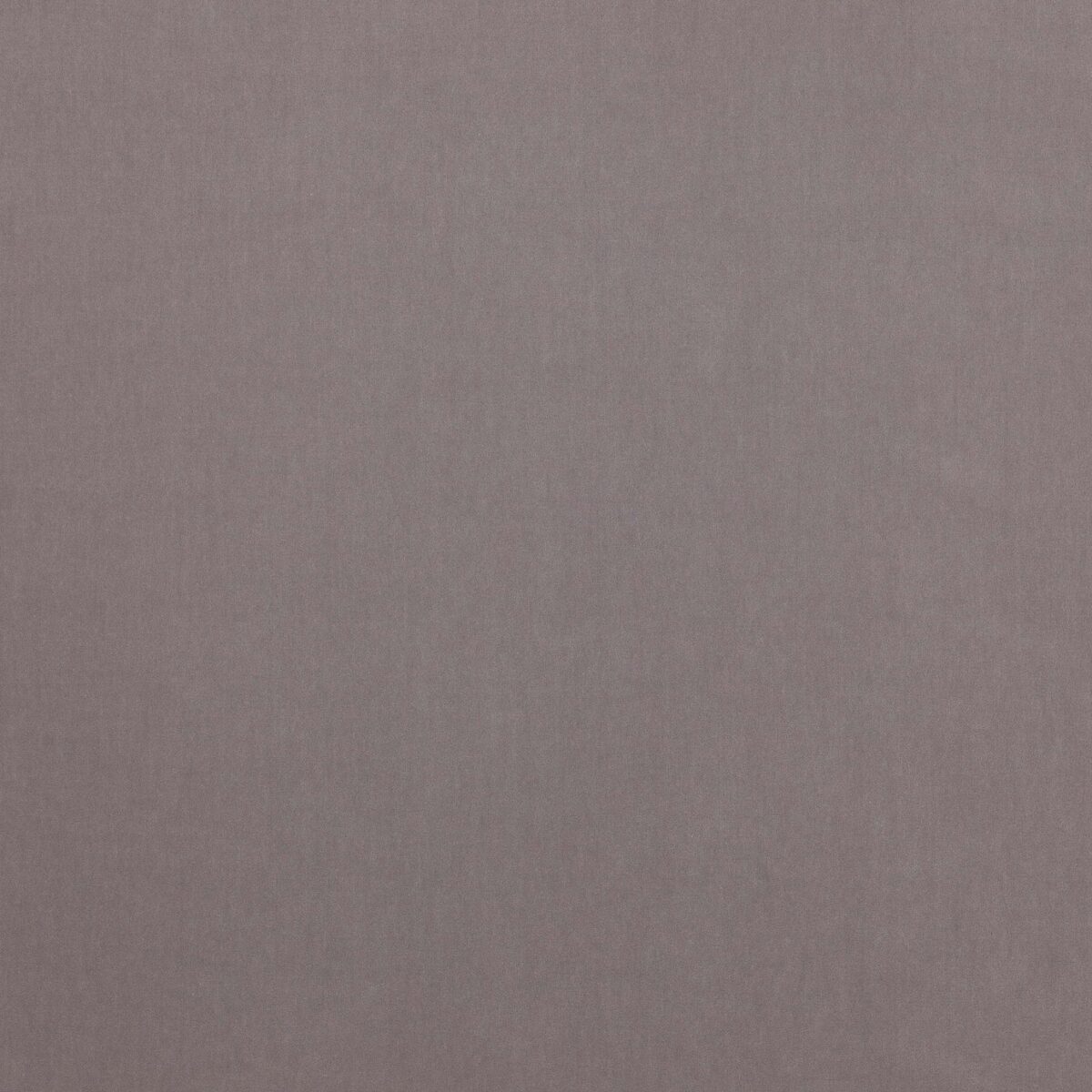 Emile Fabric - Dove by black-grey plain velvet-chenille fabric from Jane Churchill