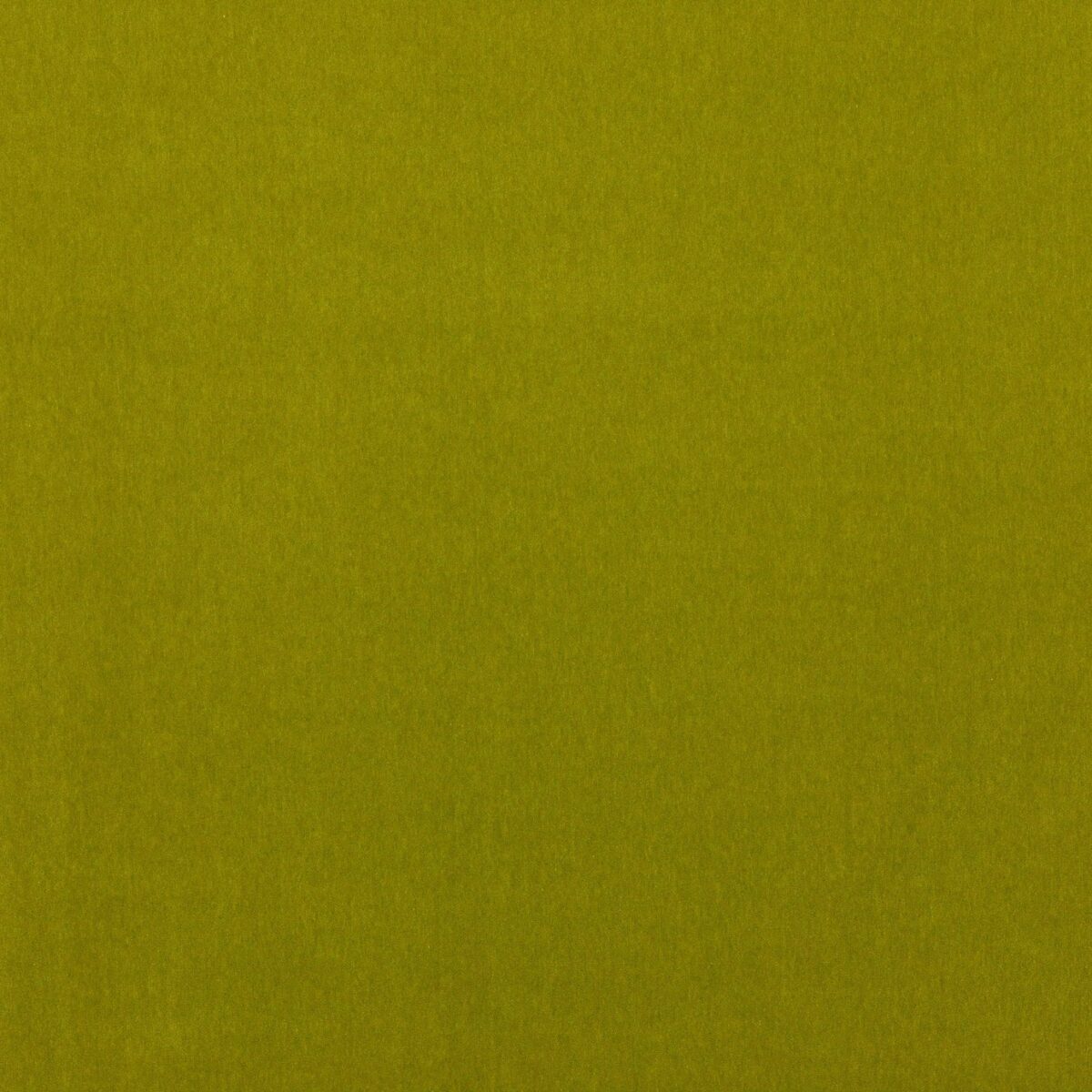 Emile Fabric - Leaf Green by green plain velvet-chenille fabric from Jane Churchill
