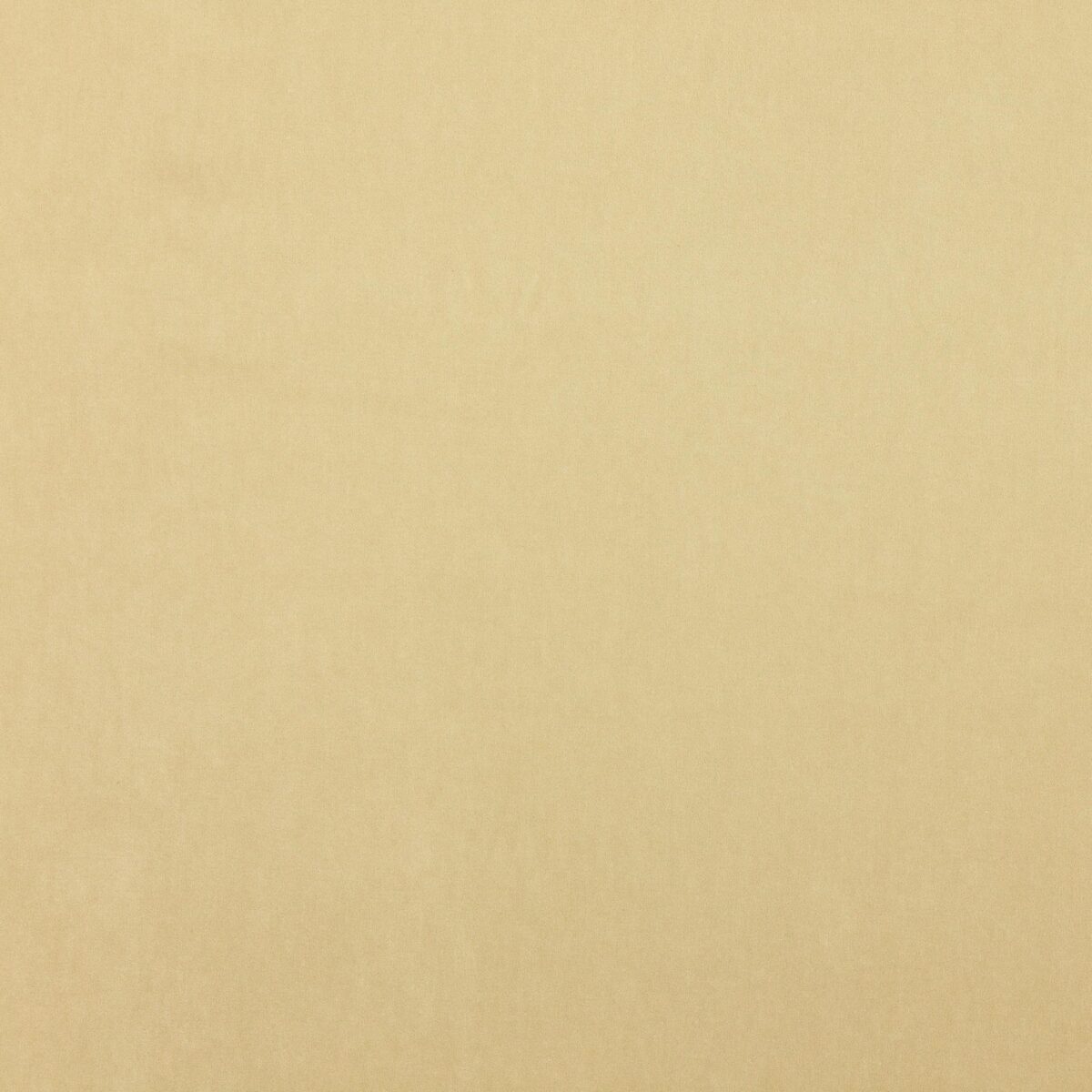 Emile Fabric - Platinum by white plain velvet-chenille fabric from Jane Churchill