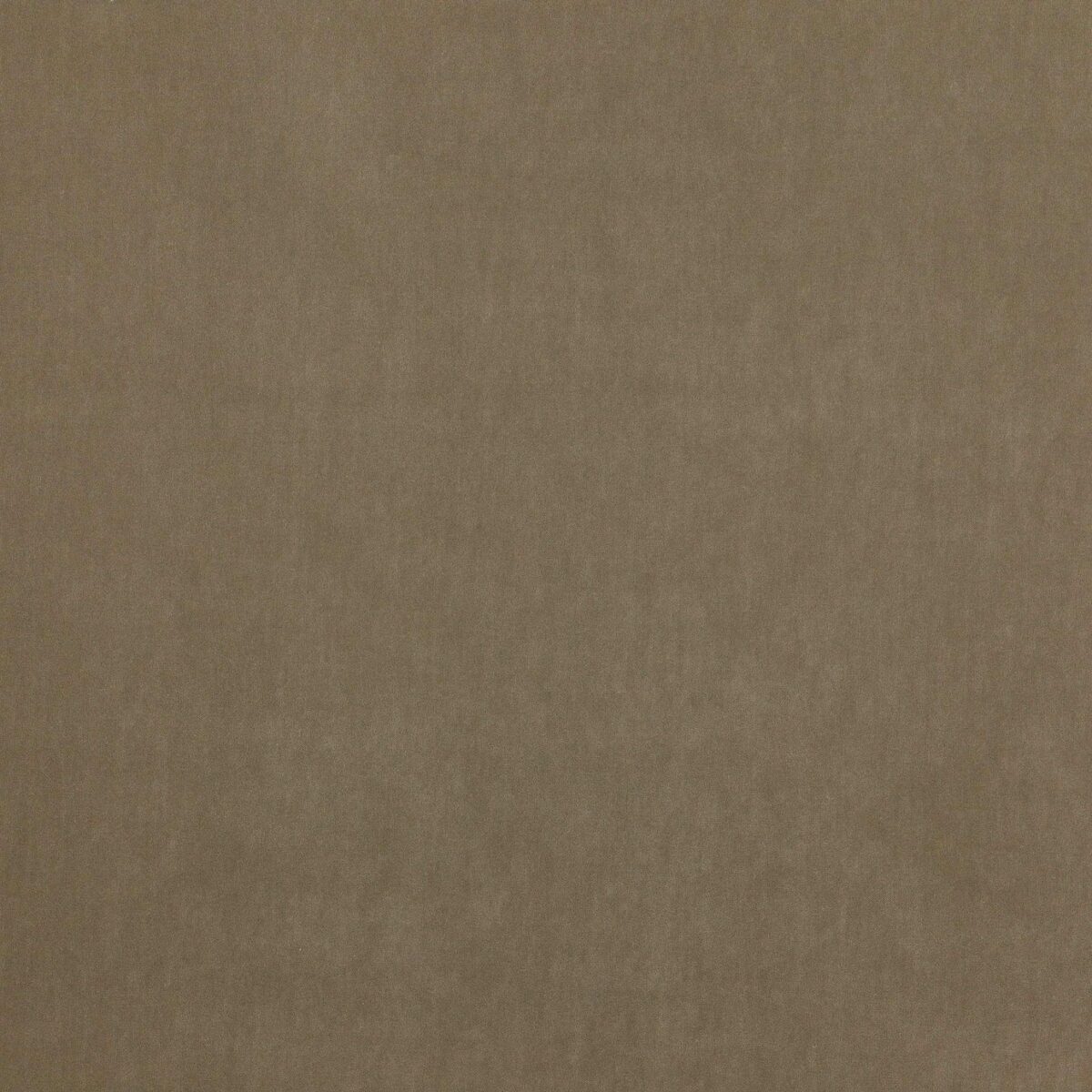 Emile Fabric - Stone by black-grey plain velvet-chenille fabric from Jane Churchill