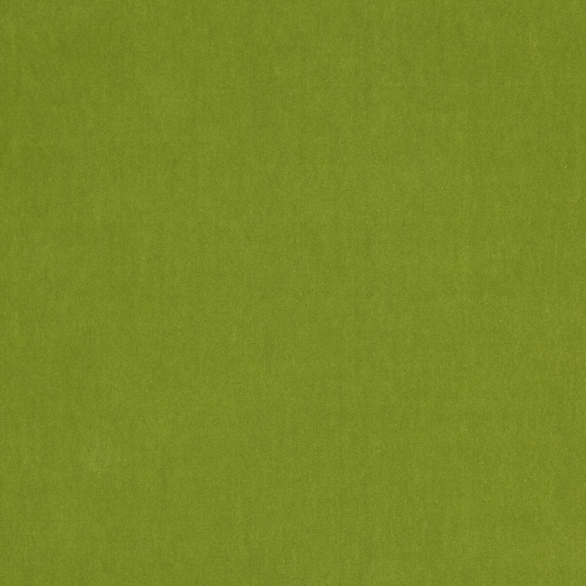 green plain velvet-chenille fabric from Jane Churchill