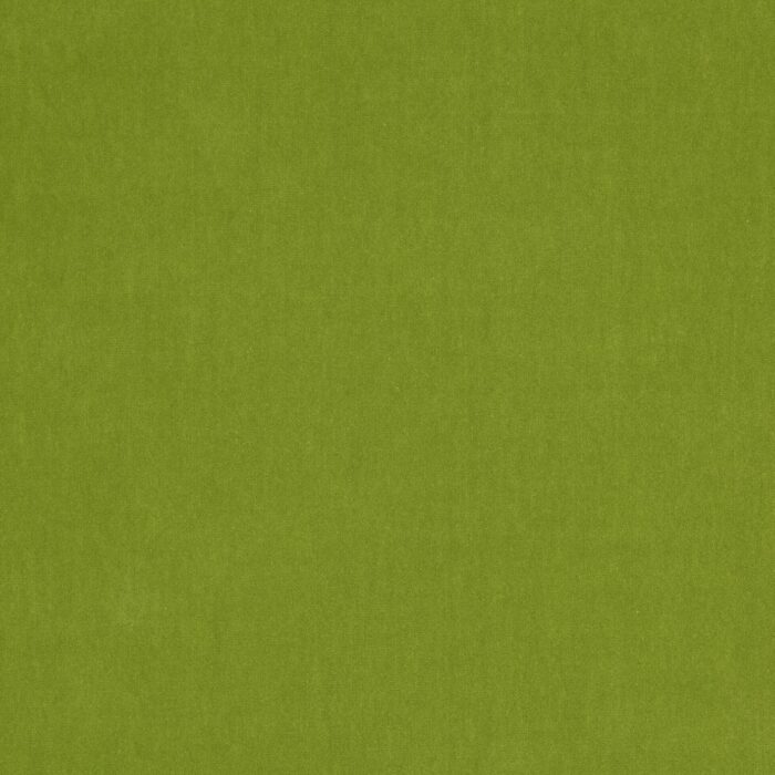 Emile Fabric - Grass Green swatch
