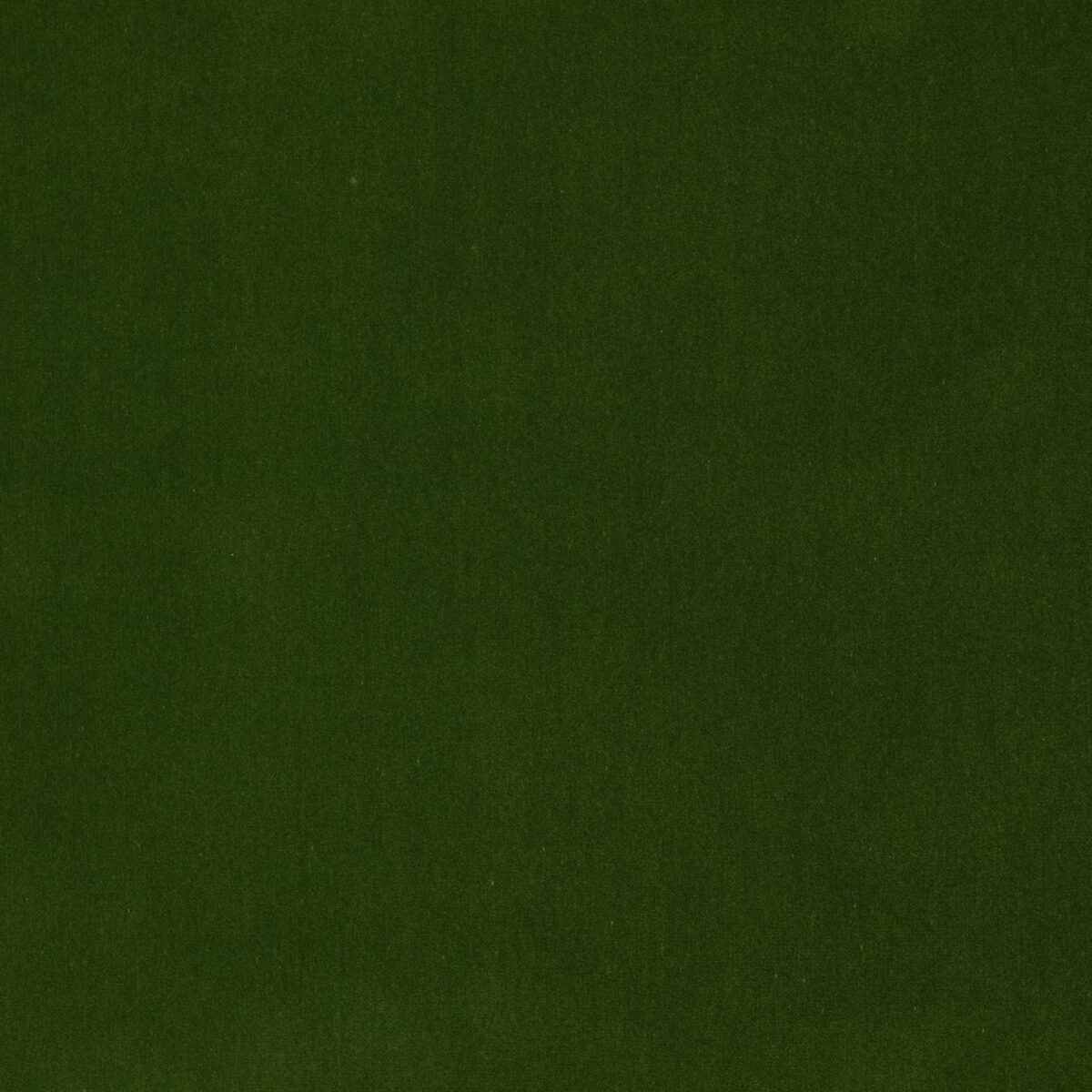 Emile Fabric - Emerald by green plain velvet-chenille fabric from Jane Churchill