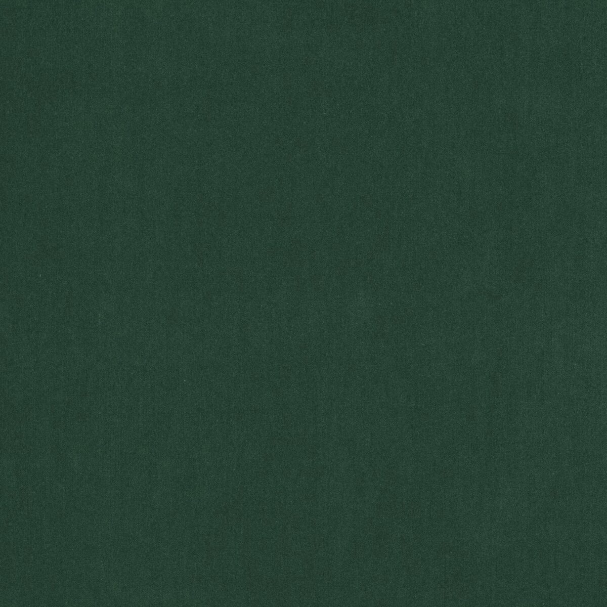 green plain velvet-chenille fabric from Jane Churchill