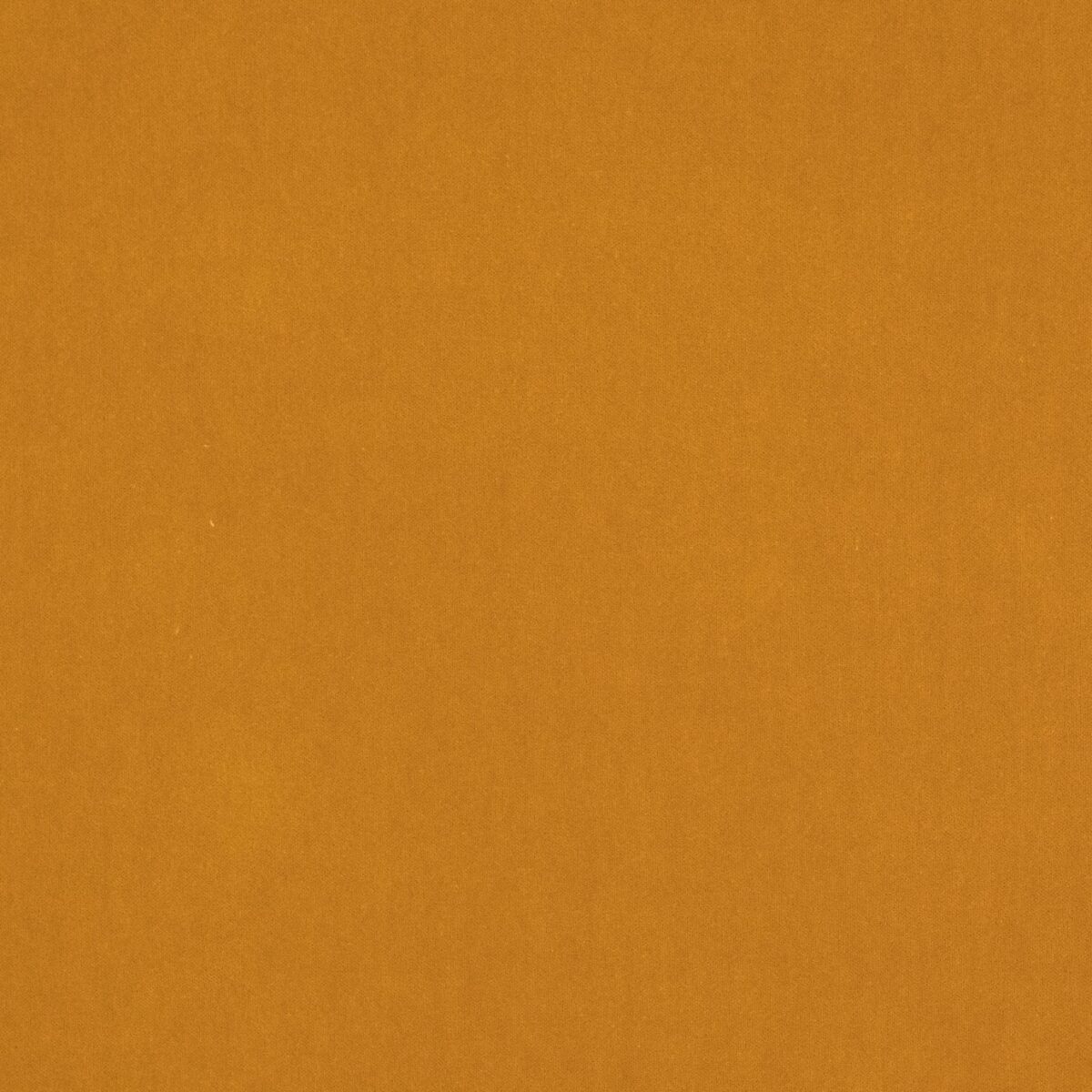 brown plain velvet-chenille fabric from Jane Churchill