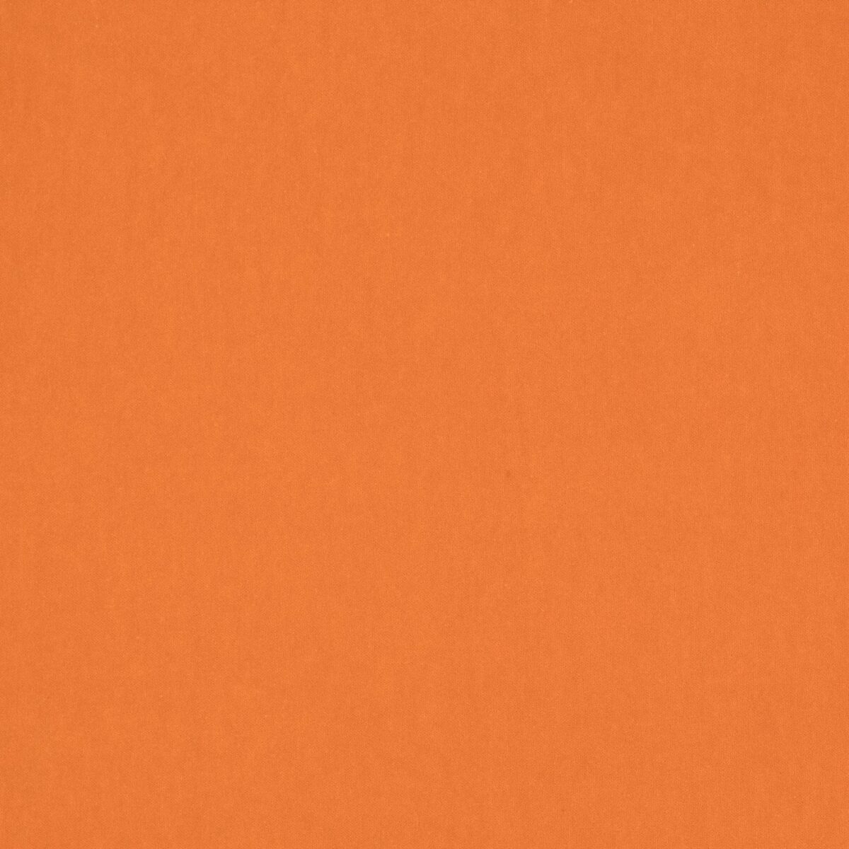 Emile Fabric - Orange by orange plain velvet-chenille fabric from Jane Churchill