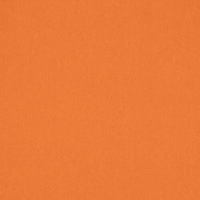 Emile Fabric - Orange swatch