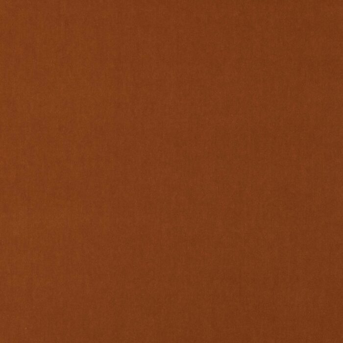 Emile Fabric - Rust swatch