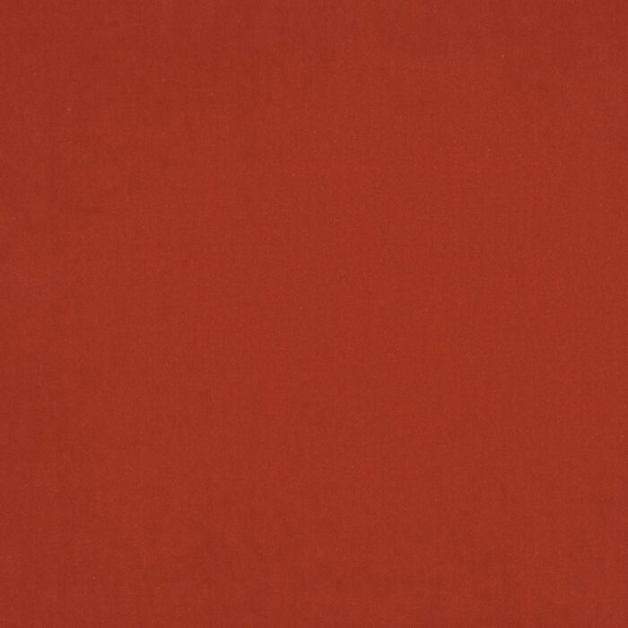 Emile Fabric - Tomato swatch