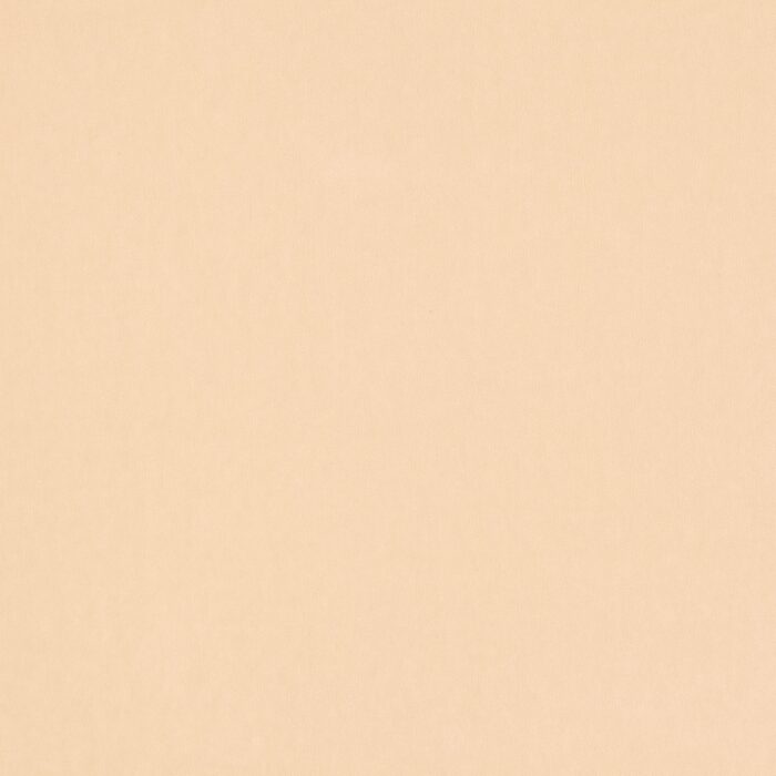 Emile Fabric - N swatch