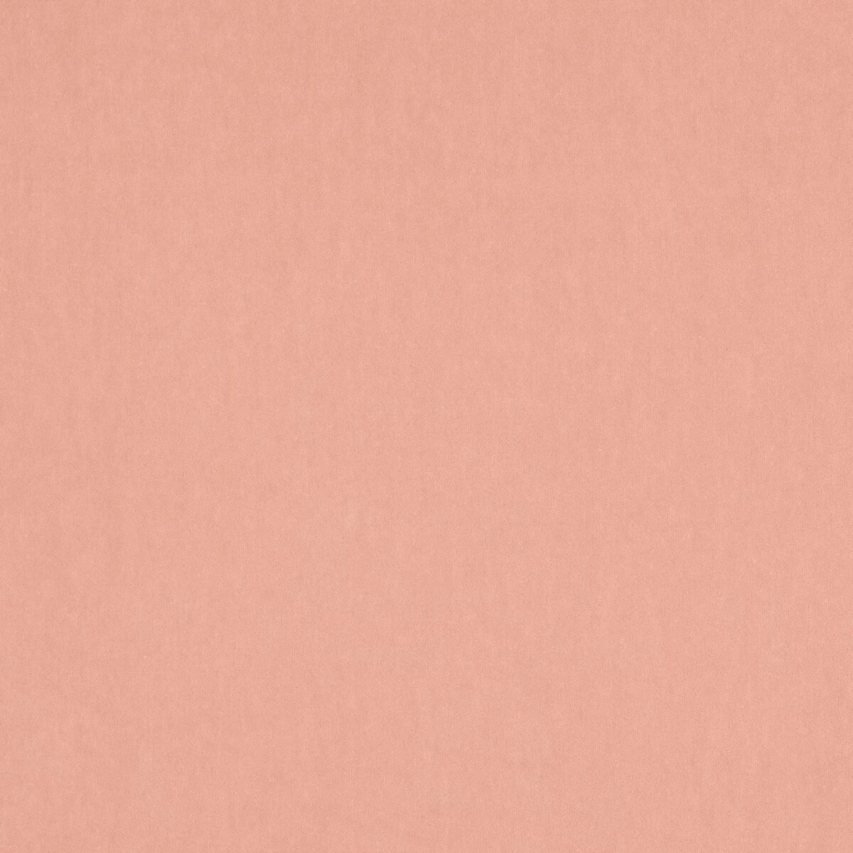 pink plain velvet-chenille fabric from Jane Churchill