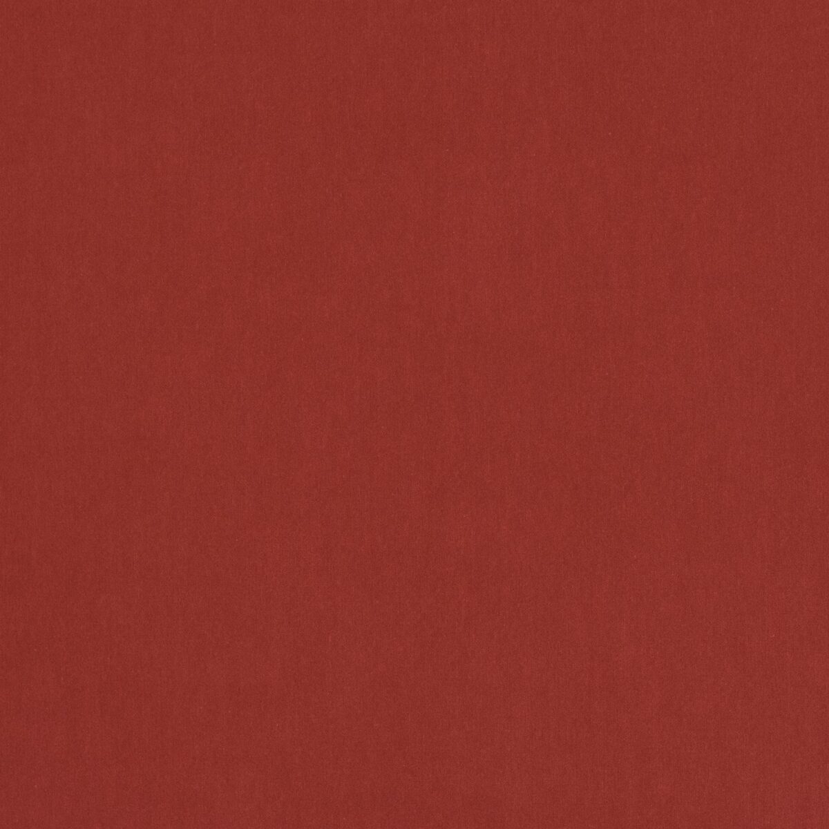 pink plain velvet-chenille fabric from Jane Churchill
