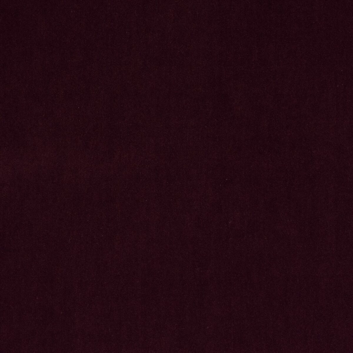 Emile Fabric - Prune by purple plain velvet-chenille fabric from Jane Churchill