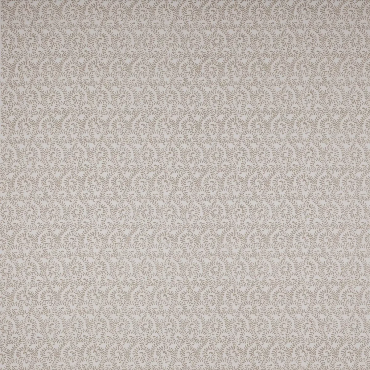 Millie Fabric - Beige by white botanical cotton fabric from Jane Churchill
