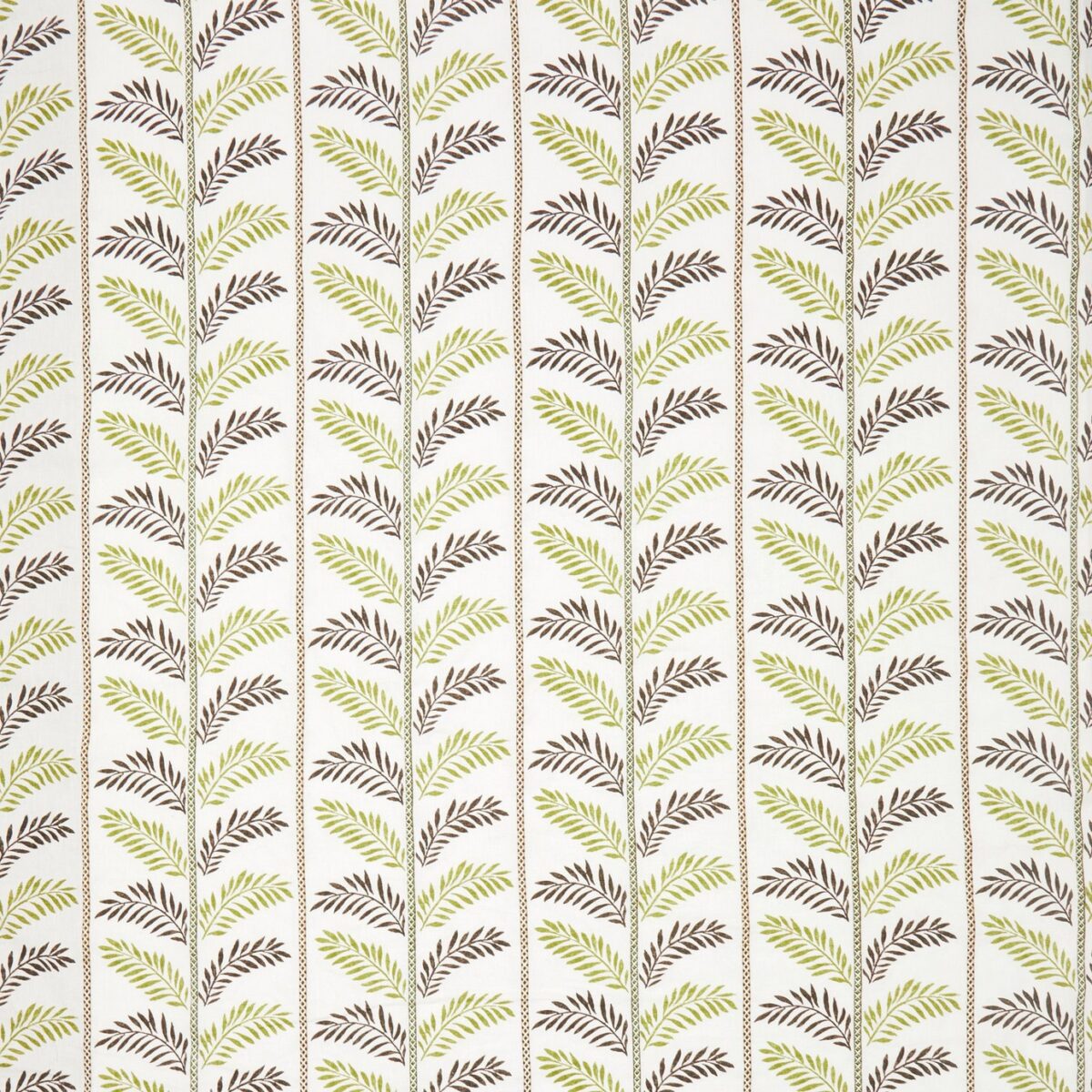 Plumier Fabric - Green / Chocolate by green botanical embroideried fabric from Nina Campbell