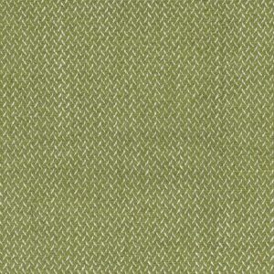 green plain woven fabric from Nina Campbell