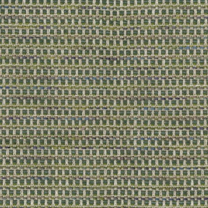 Sarangi Fabric - Green swatch