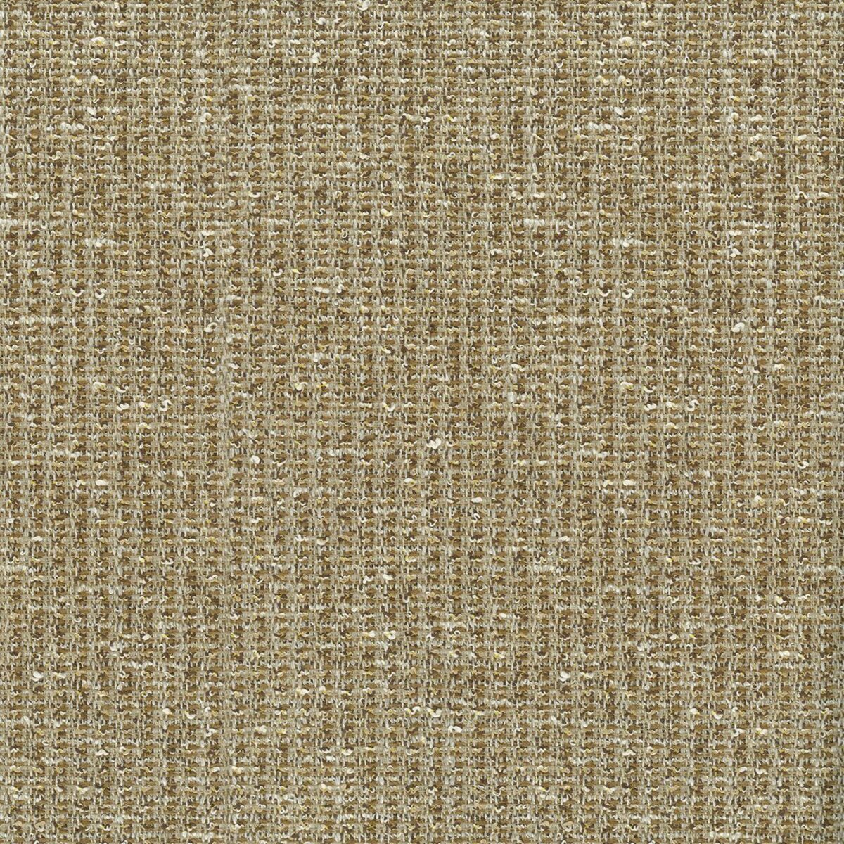 Bulet Fabric - Beige by neutral plain woven fabric from Nina Campbell