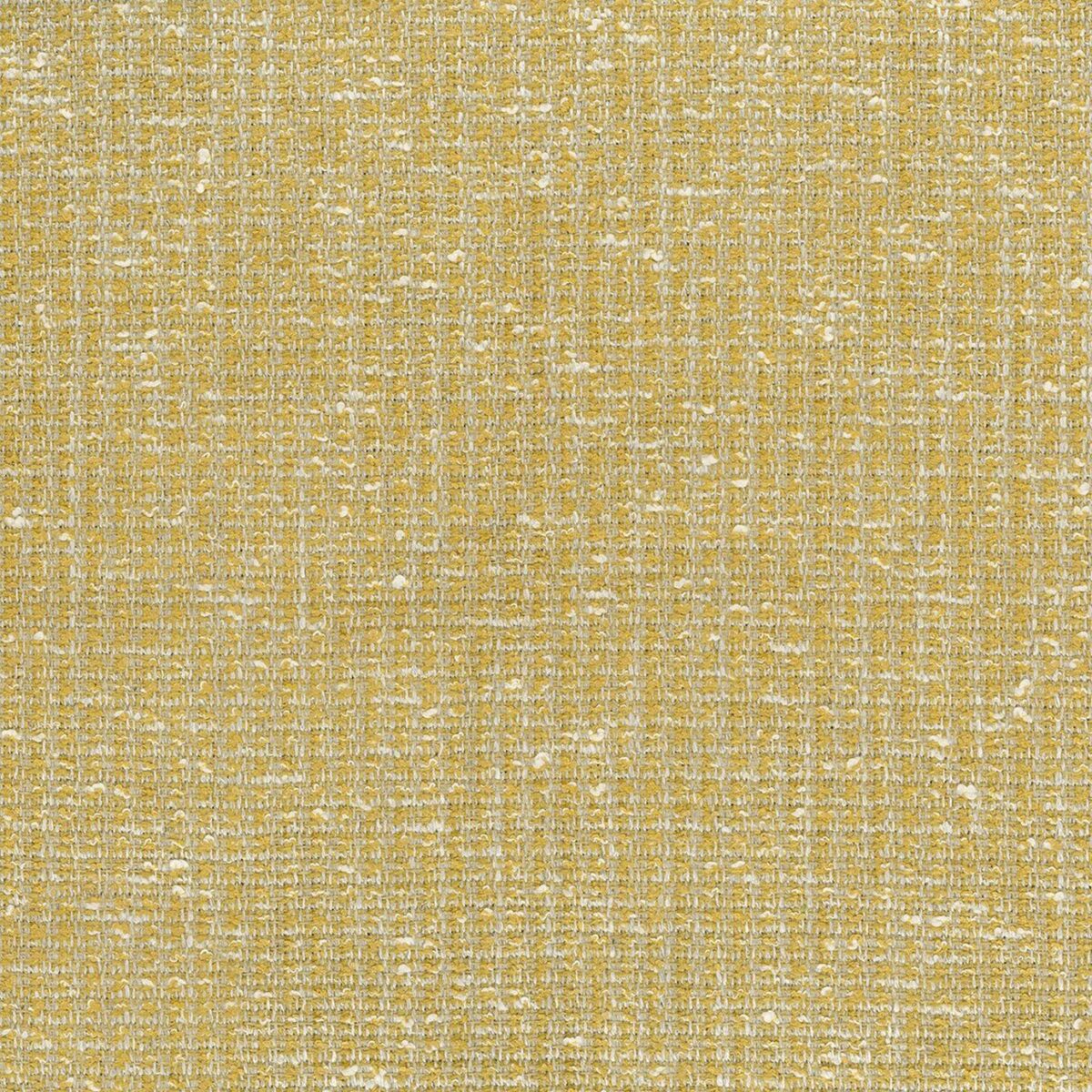 yellow plain woven fabric from Nina Campbell